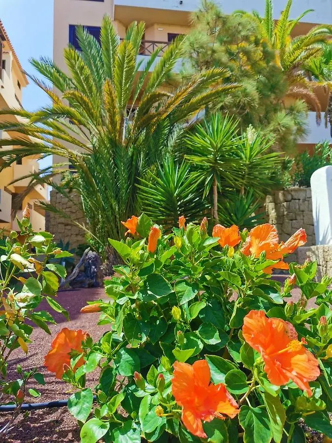 Rayo Apartment San Miguel de Abona